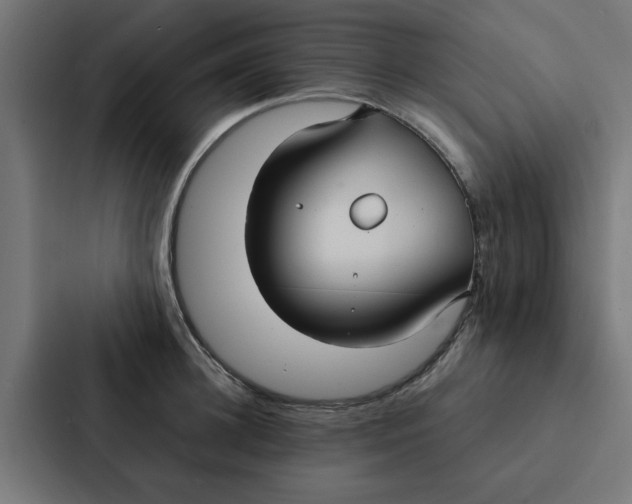 X0000087330948200705112154
