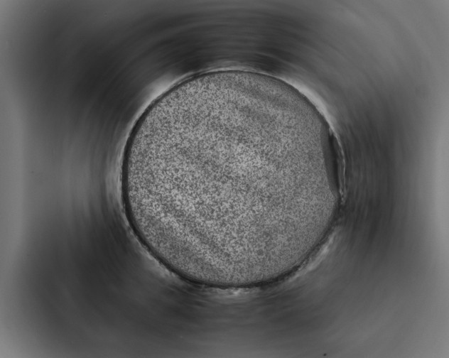 X0000087330949200705112154