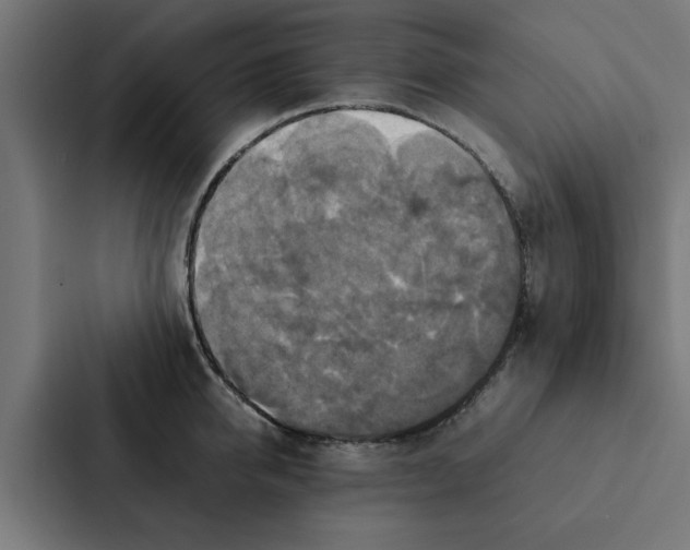 X0000087330950200705112154