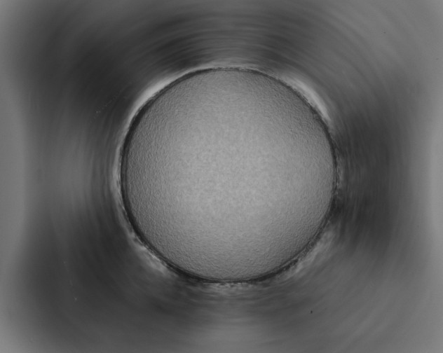 X0000087330952200705112154