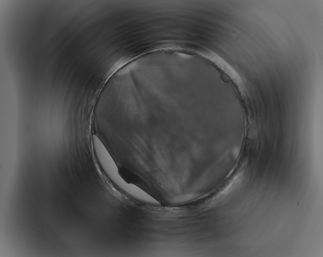 X0000087330953200705112154