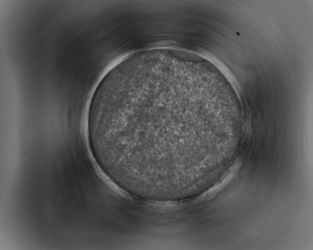 X0000087330957200705112154