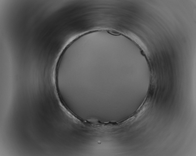 X0000087330958200705112154