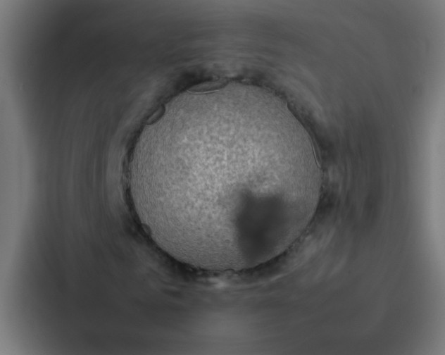 X0000087330961200705112154