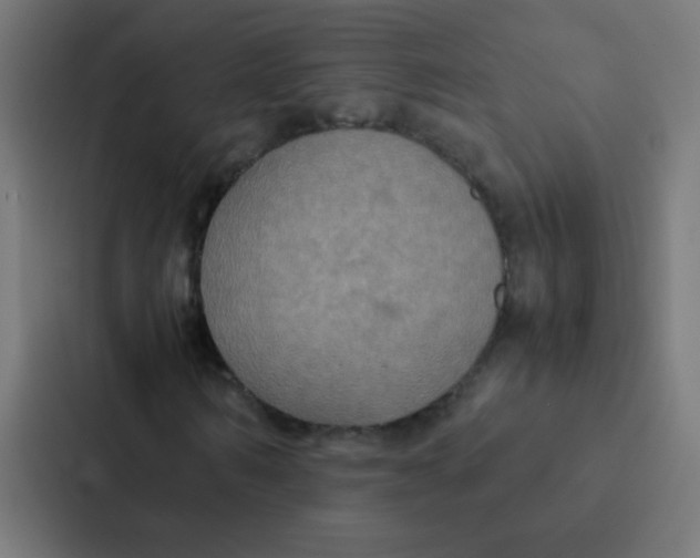 X0000087330962200705112154