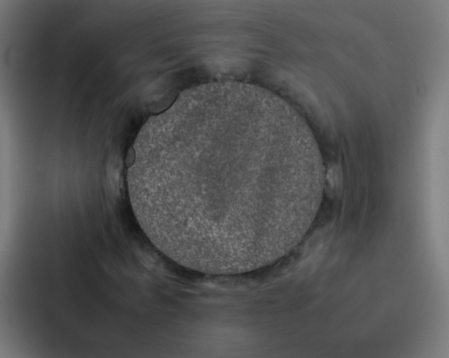 X0000087330963200705112153