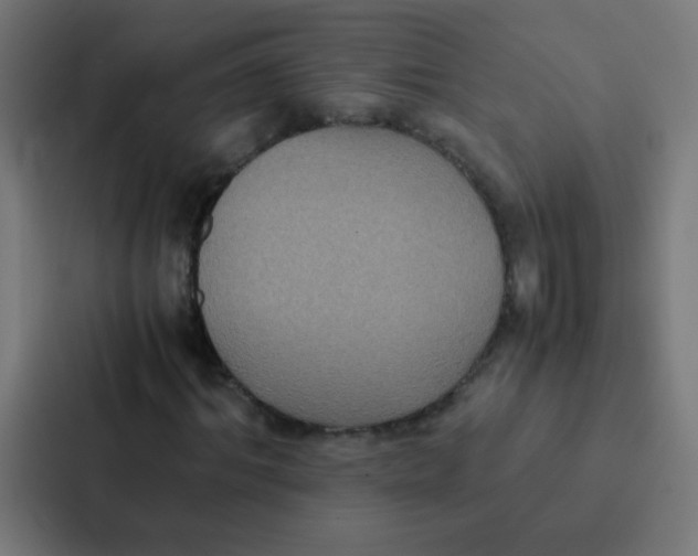 X0000087330964200705112153