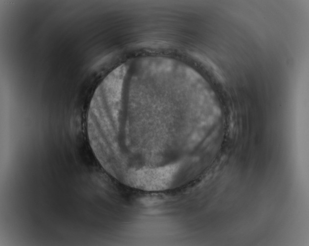 X0000087330966200705112153