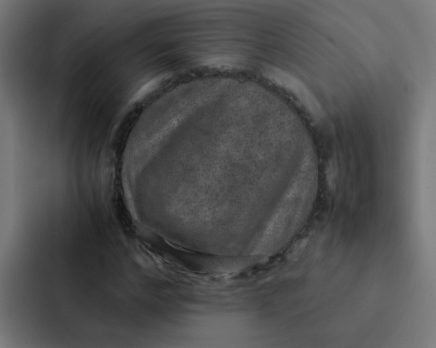 X0000087330968200705112153