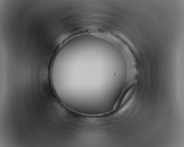 X0000087330969200705112153