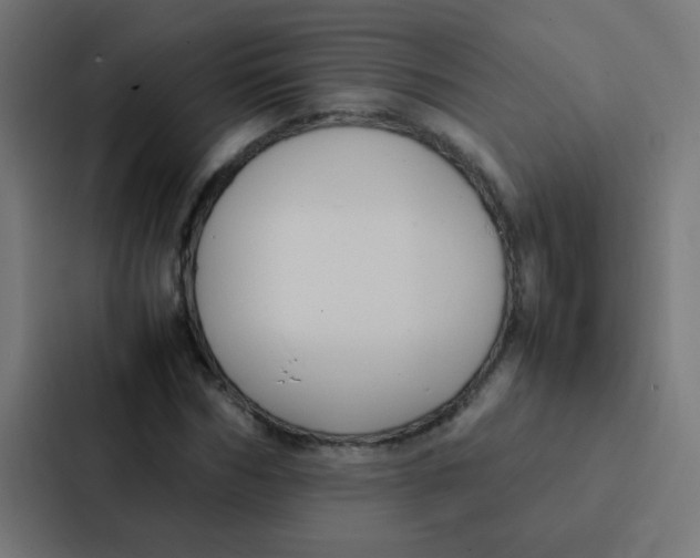 X0000087330970200705112153