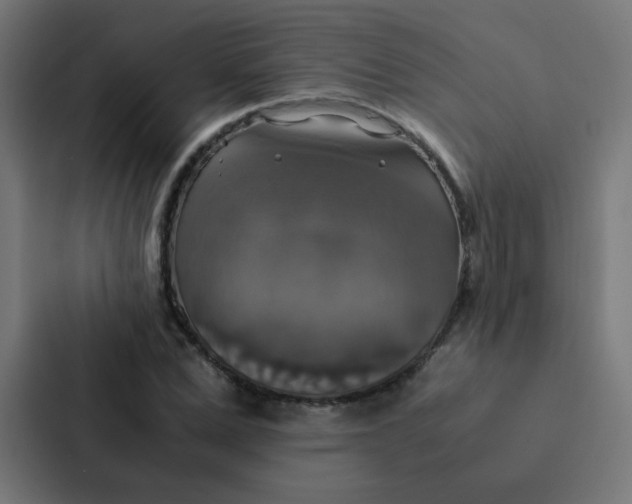 X0000087330975200705112153