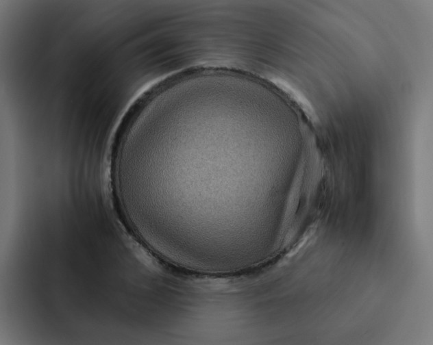 X0000087330976200705112153
