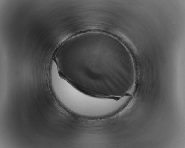 X0000087330977200705112153