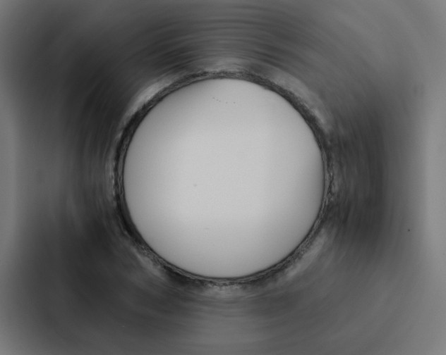 X0000087330978200705112153
