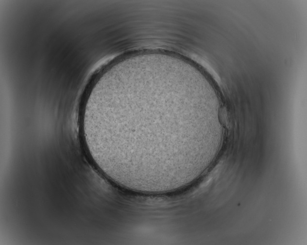 X0000087330979200705112153