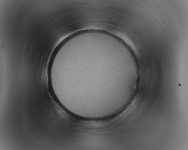 X0000087330980200705112153