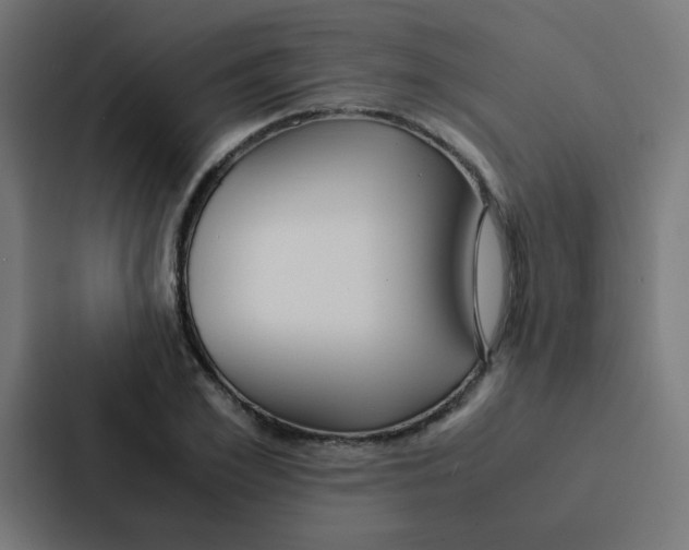 X0000087330981200705112153