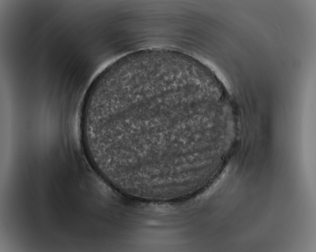 X0000087330983200705112153