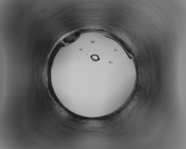 X0000087330984200705112153