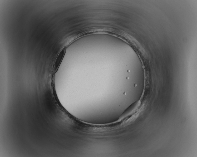 X0000087330985200705112153