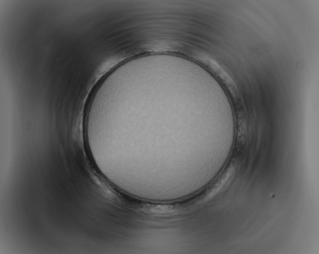 X0000087330986200705112153