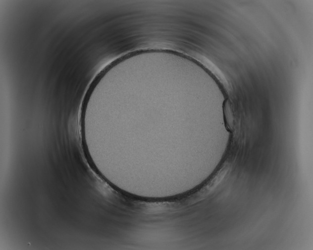 X0000087330988200705112153