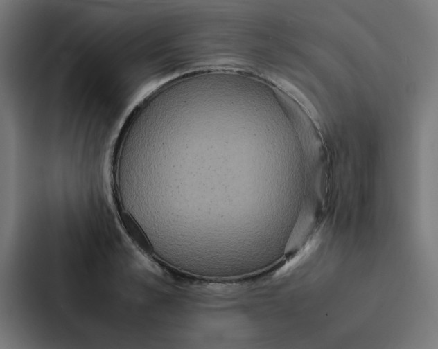 X0000087330989200705112153