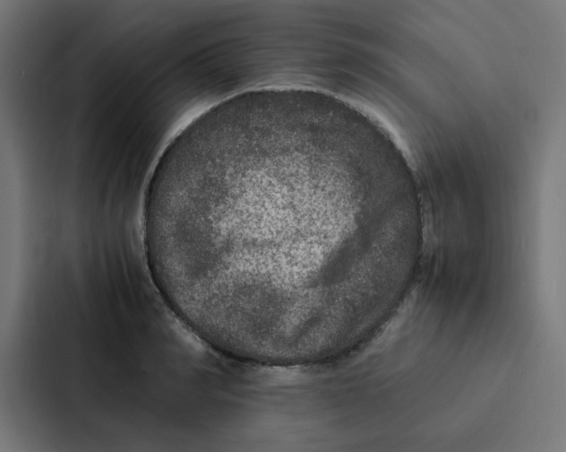 X0000087330990200705112153