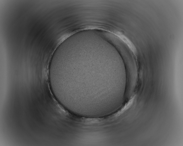 X0000087330993200705112153