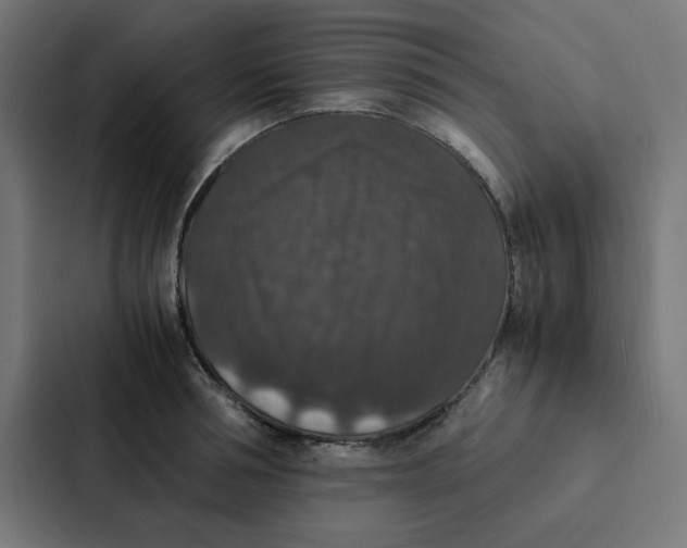 X0000087330994200705112153