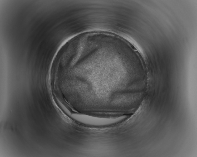 X0000087330996200705112153