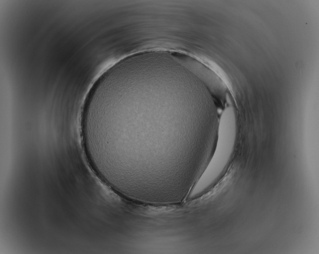 X0000087330997200705112153