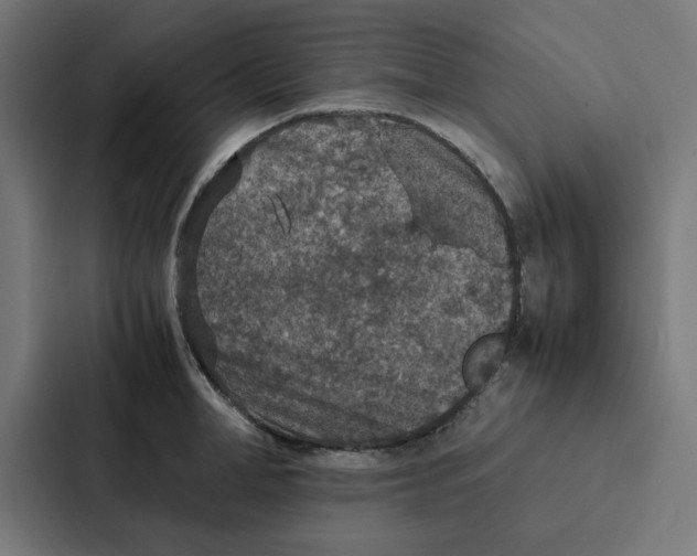 X0000087330998200705112153