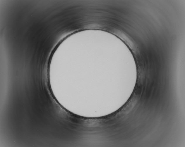 X0000087331000200705112153
