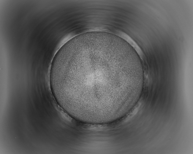 X0000087331002200705112153