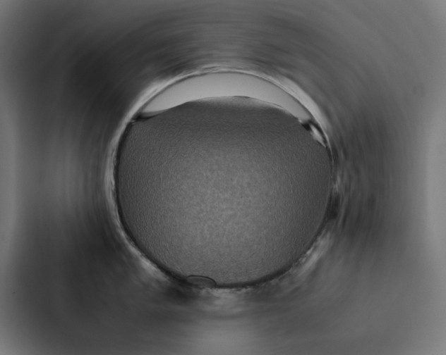 X0000087331005200705112153
