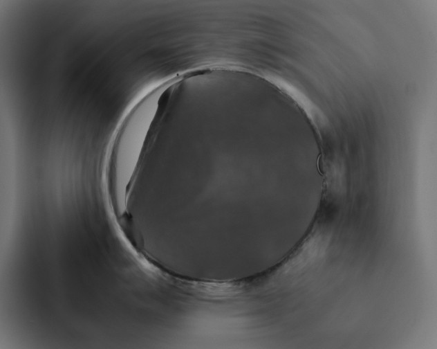 X0000087331007200705112153