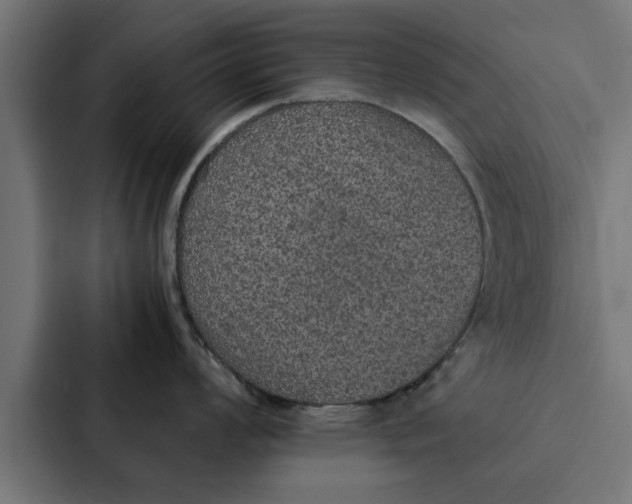 X0000087331008200705112153