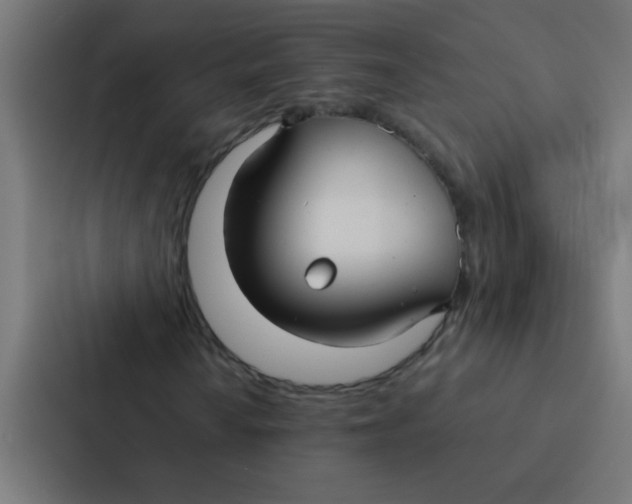 X0000087331010200705112152