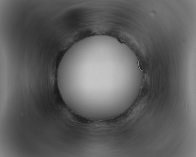 X0000087331012200705112152