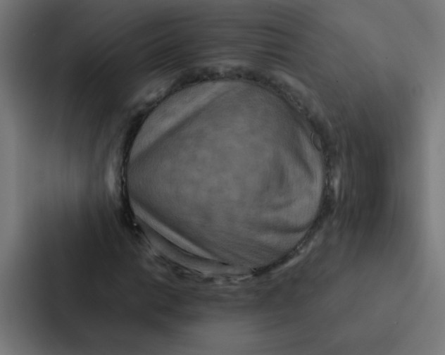 X0000087331014200705112152