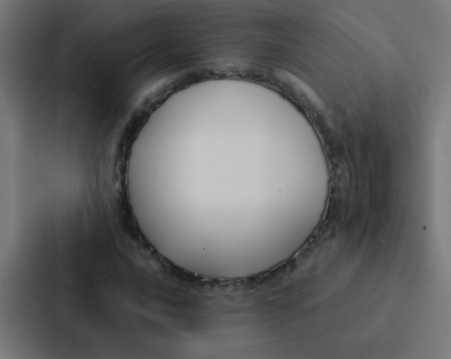 X0000087331016200705112152