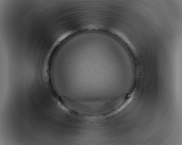 X0000087331018200705112152