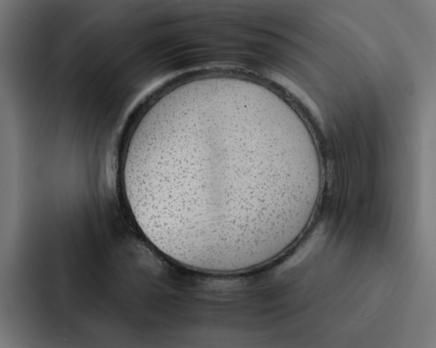 X0000087331021200705112152