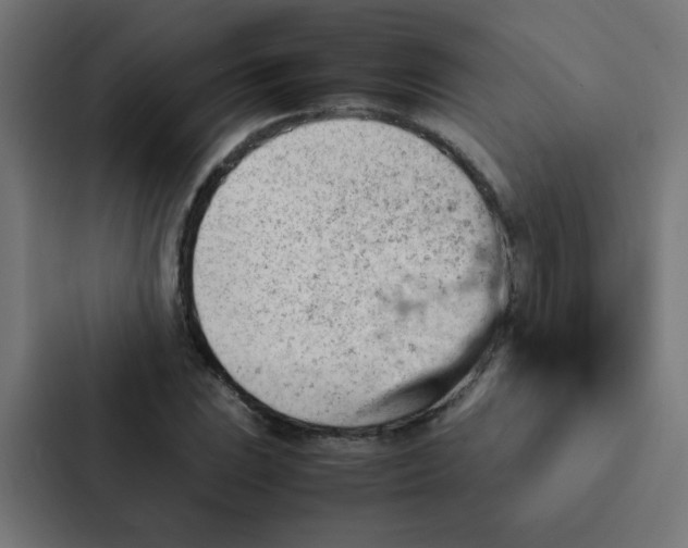 X0000087331023200705112152