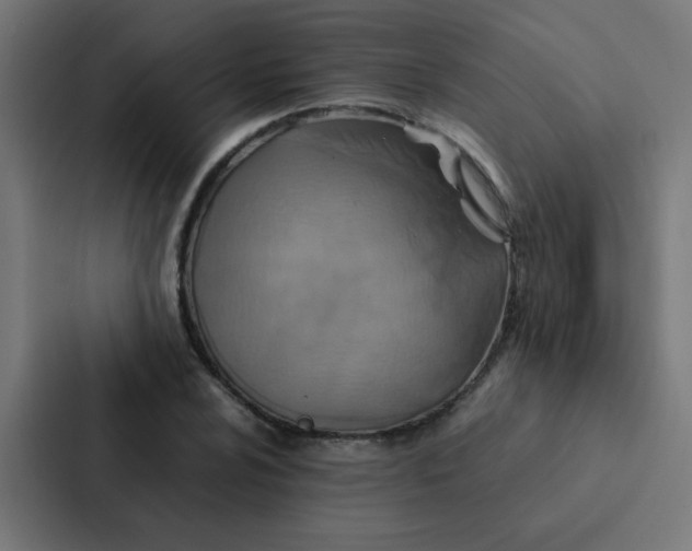 X0000087331024200705112152