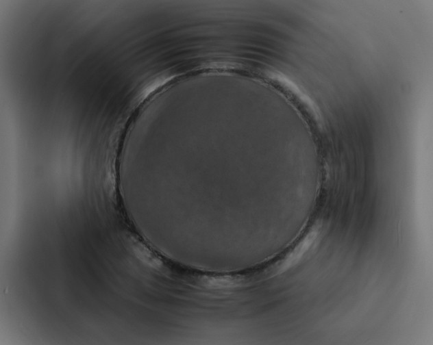 X0000087331025200705112153