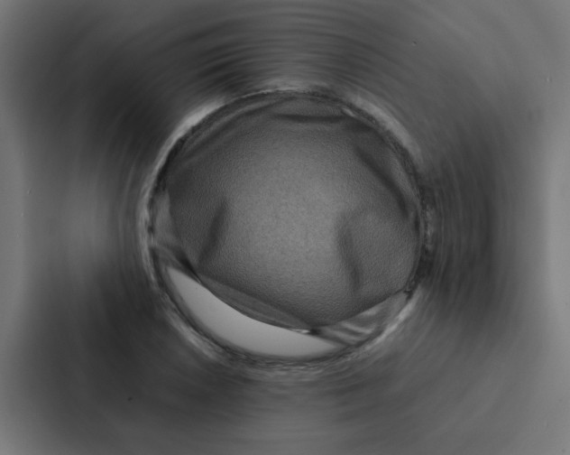 X0000087331026200705112153