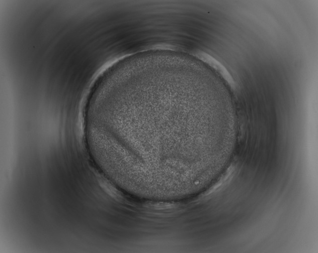 X0000087331027200705112153